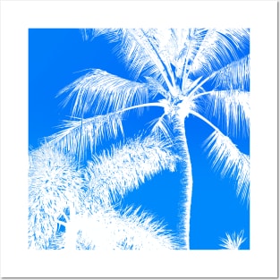 White Palms Blue Sky Posters and Art